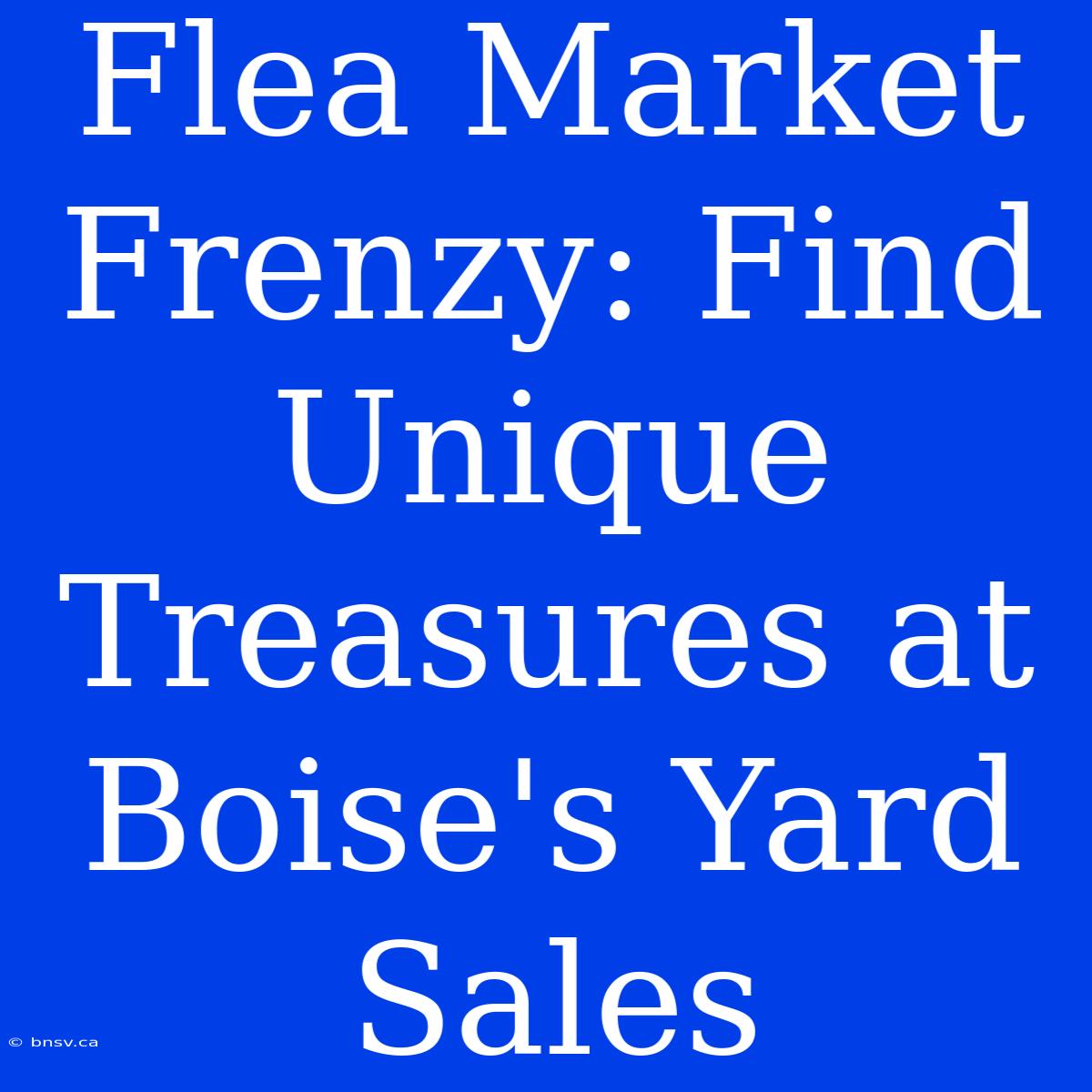 Flea Market Frenzy: Find Unique Treasures At Boise's Yard Sales