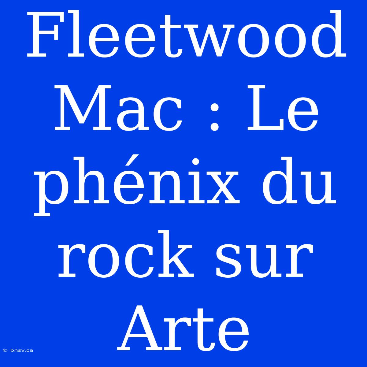 Fleetwood Mac : Le Phénix Du Rock Sur Arte