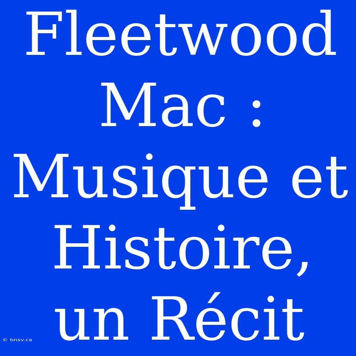 Fleetwood Mac : Musique Et Histoire, Un Récit