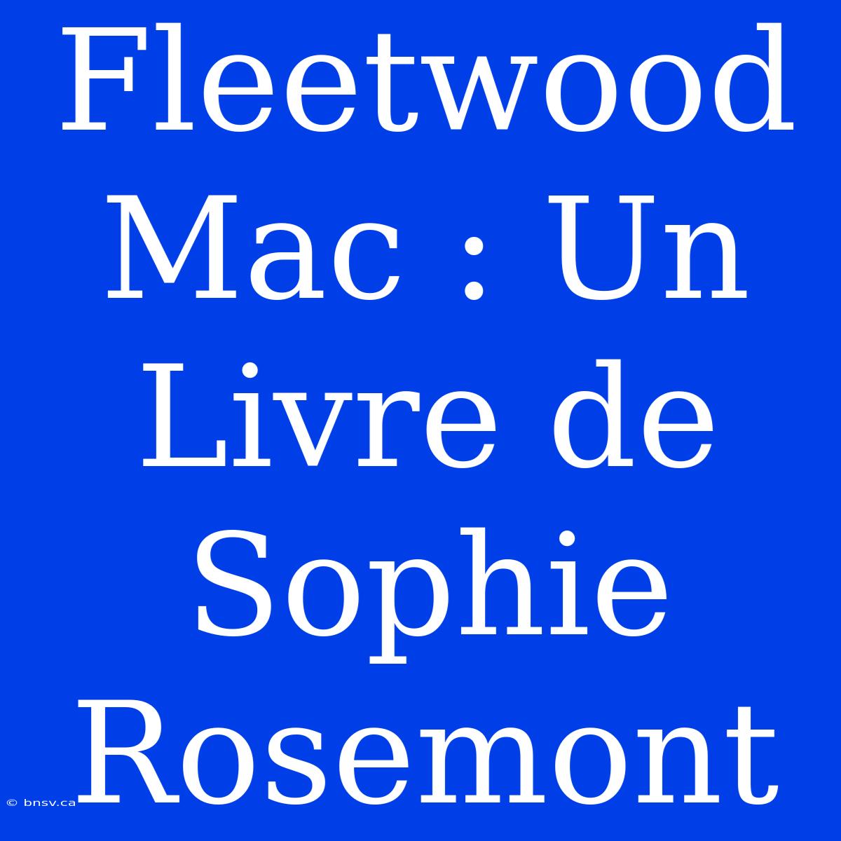 Fleetwood Mac : Un Livre De Sophie Rosemont