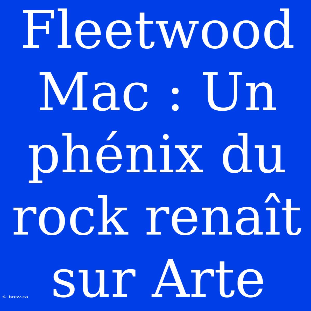 Fleetwood Mac : Un Phénix Du Rock Renaît Sur Arte