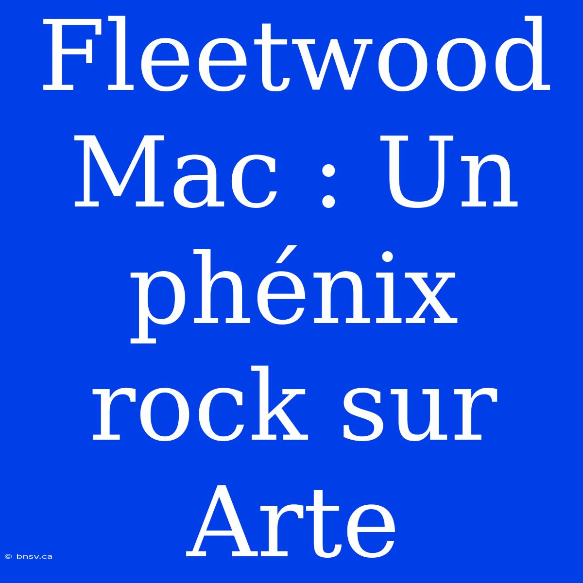 Fleetwood Mac : Un Phénix Rock Sur Arte