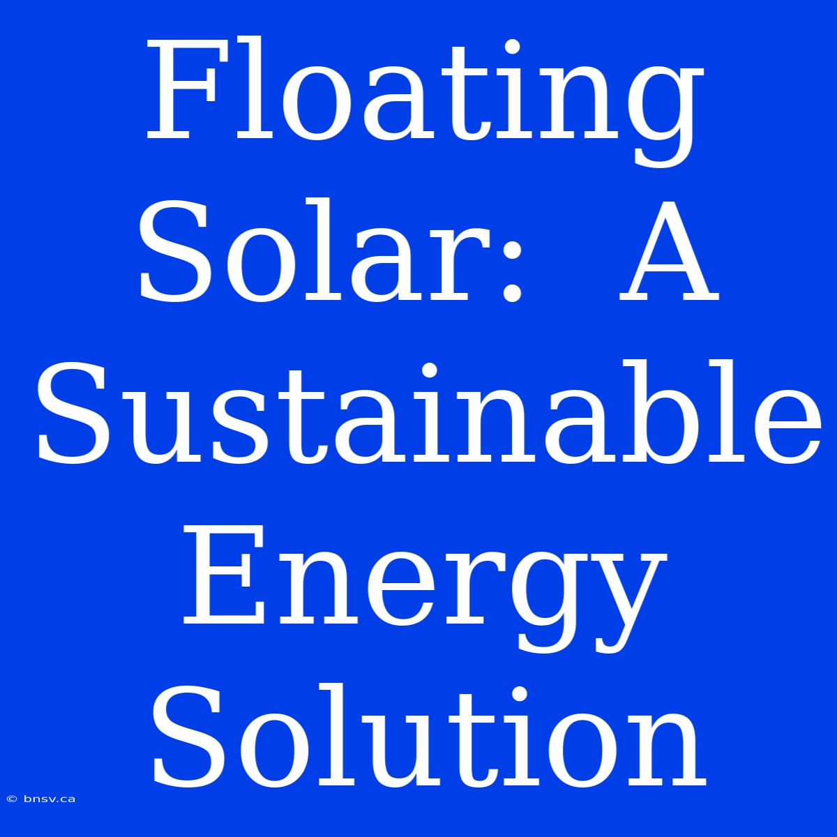 Floating Solar:  A Sustainable Energy Solution