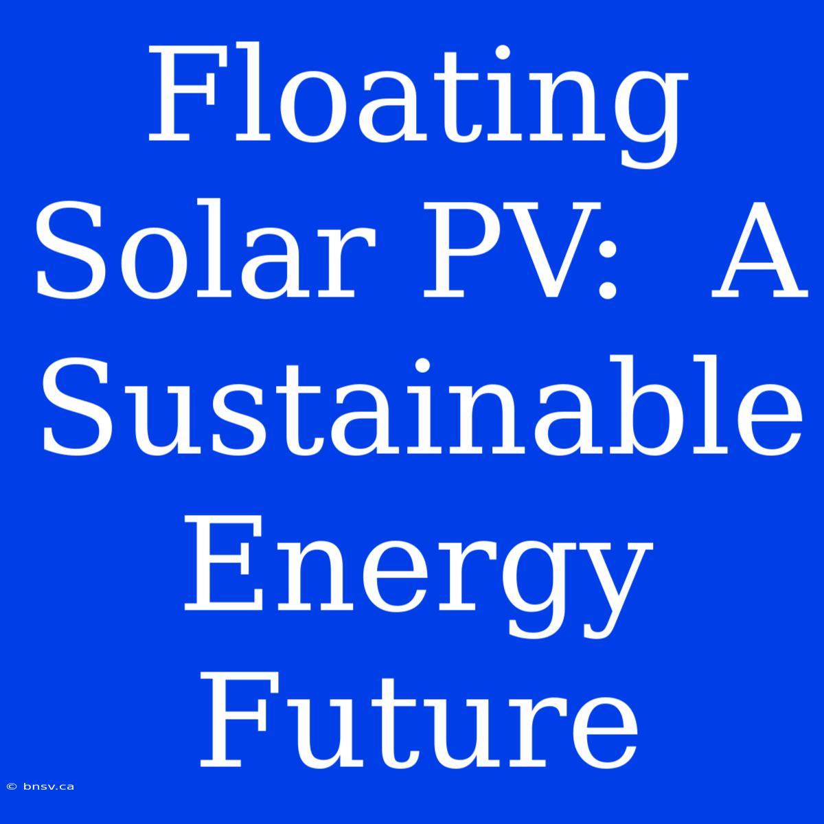 Floating Solar PV:  A Sustainable Energy Future