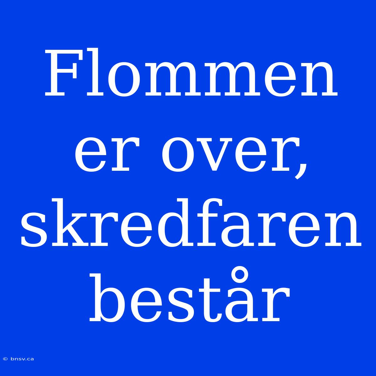 Flommen Er Over, Skredfaren Består