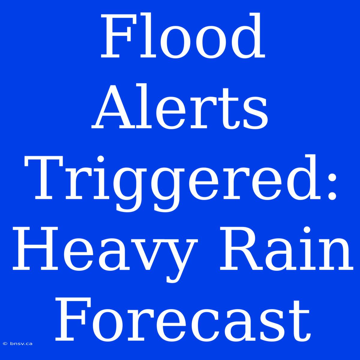 Flood Alerts Triggered: Heavy Rain Forecast