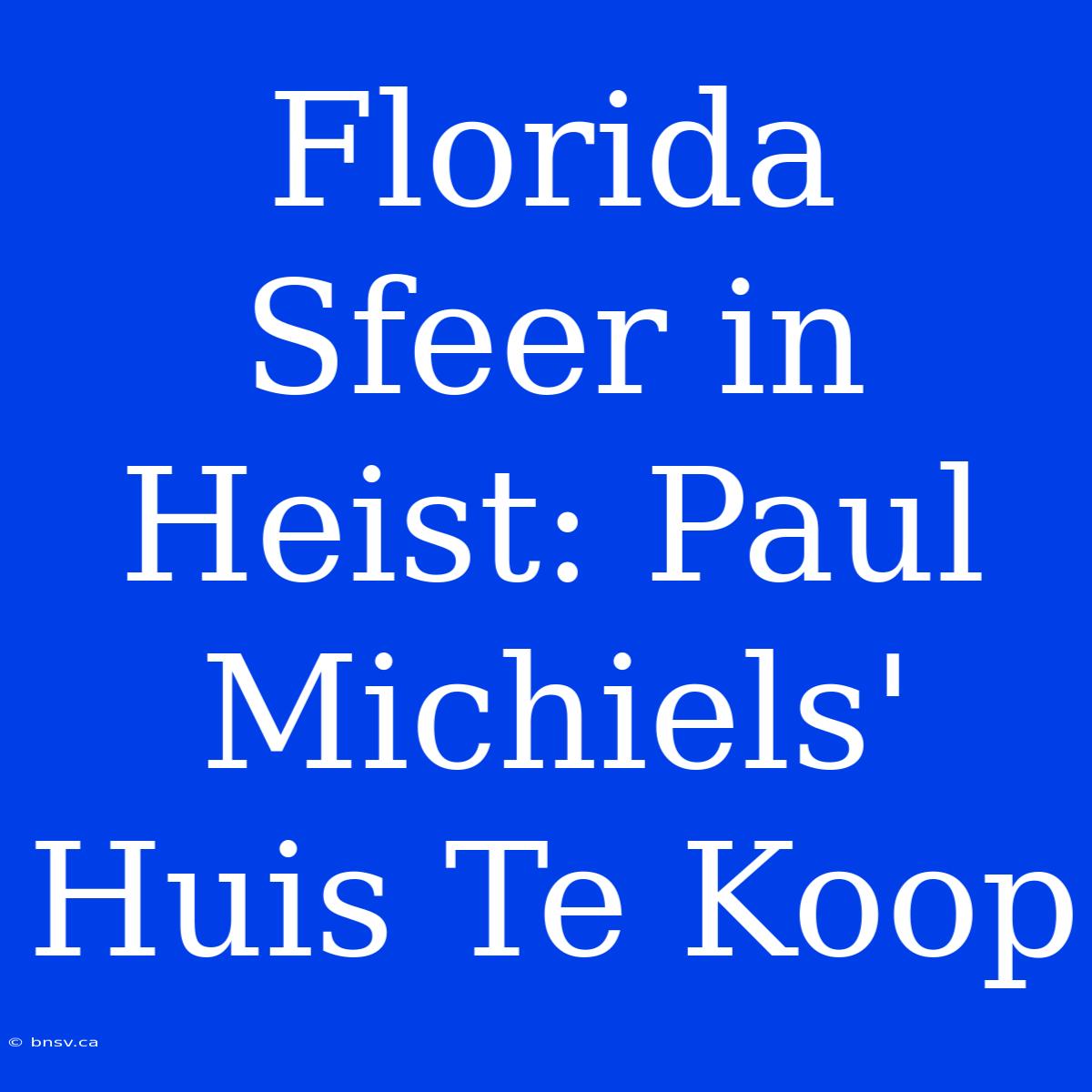 Florida Sfeer In Heist: Paul Michiels' Huis Te Koop