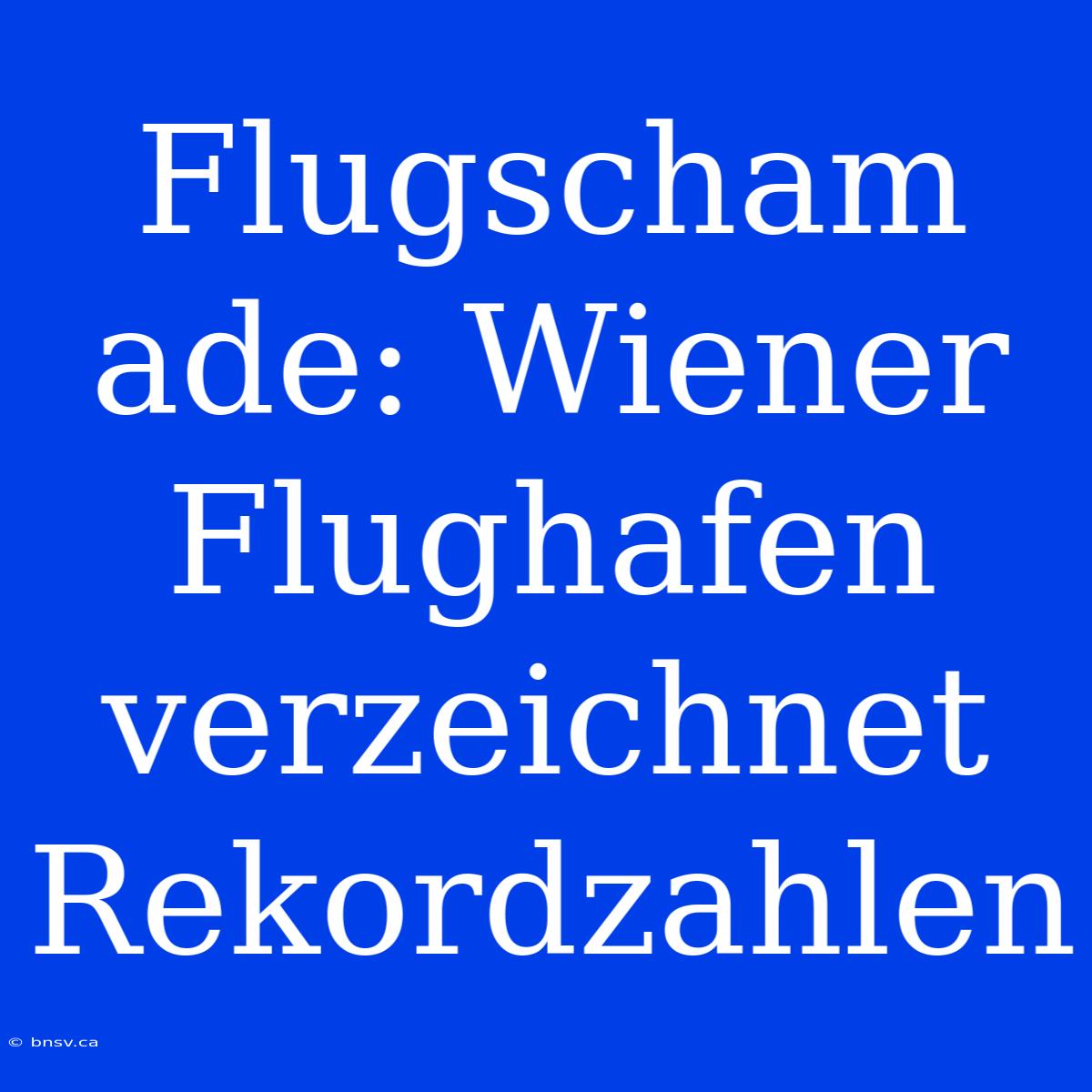 Flugscham Ade: Wiener Flughafen Verzeichnet Rekordzahlen