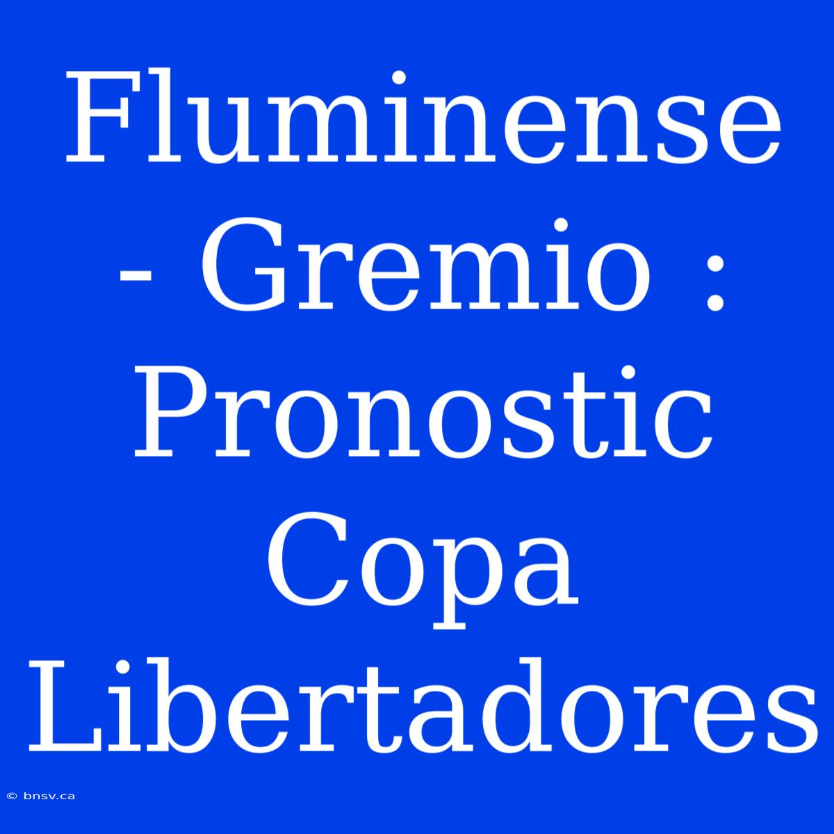 Fluminense - Gremio : Pronostic Copa Libertadores