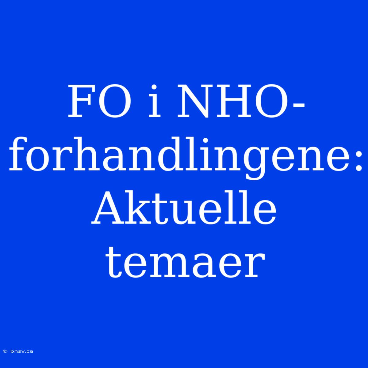 FO I NHO-forhandlingene: Aktuelle Temaer