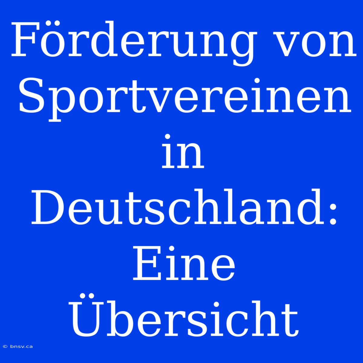 Förderung Von Sportvereinen In Deutschland: Eine Übersicht