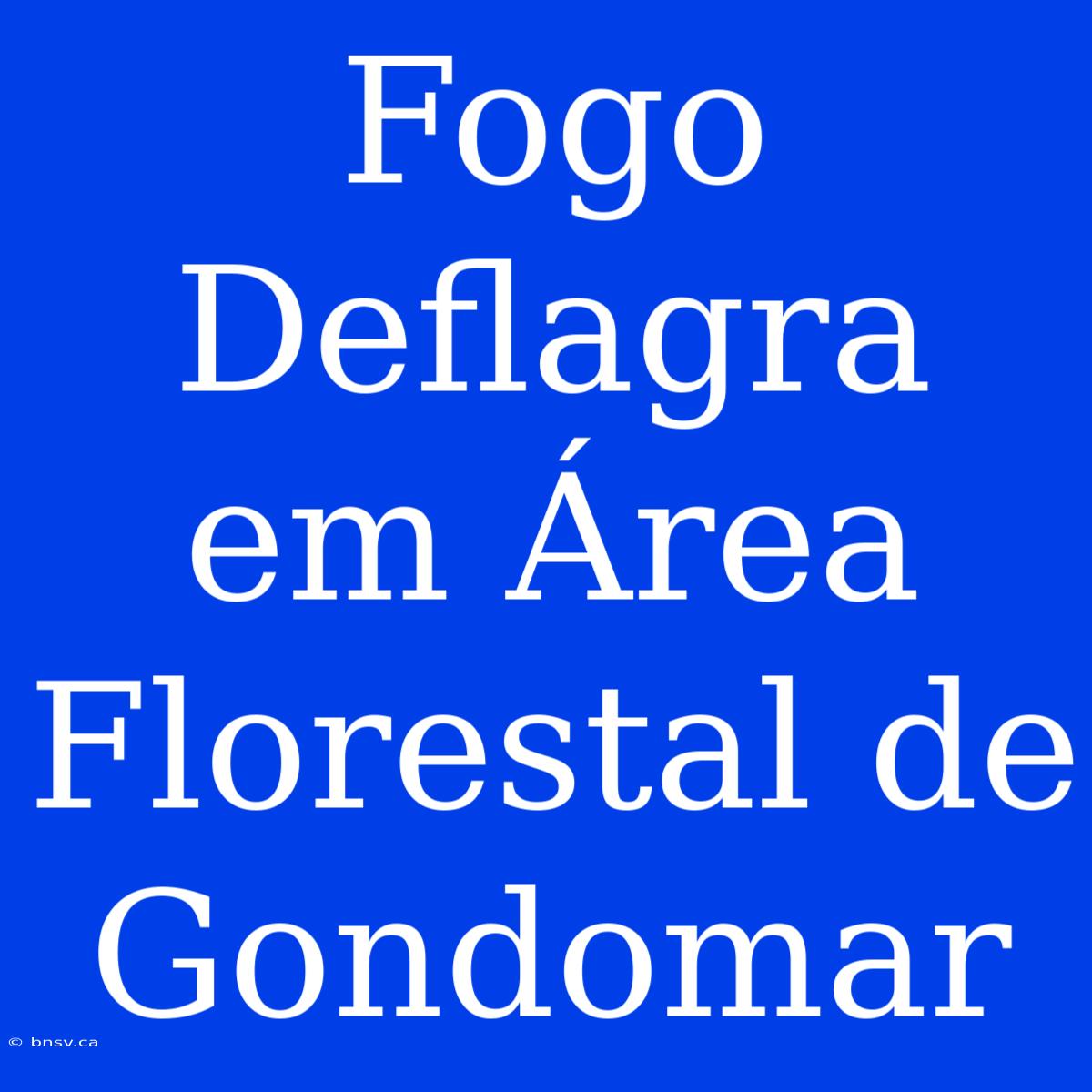 Fogo Deflagra Em Área Florestal De Gondomar