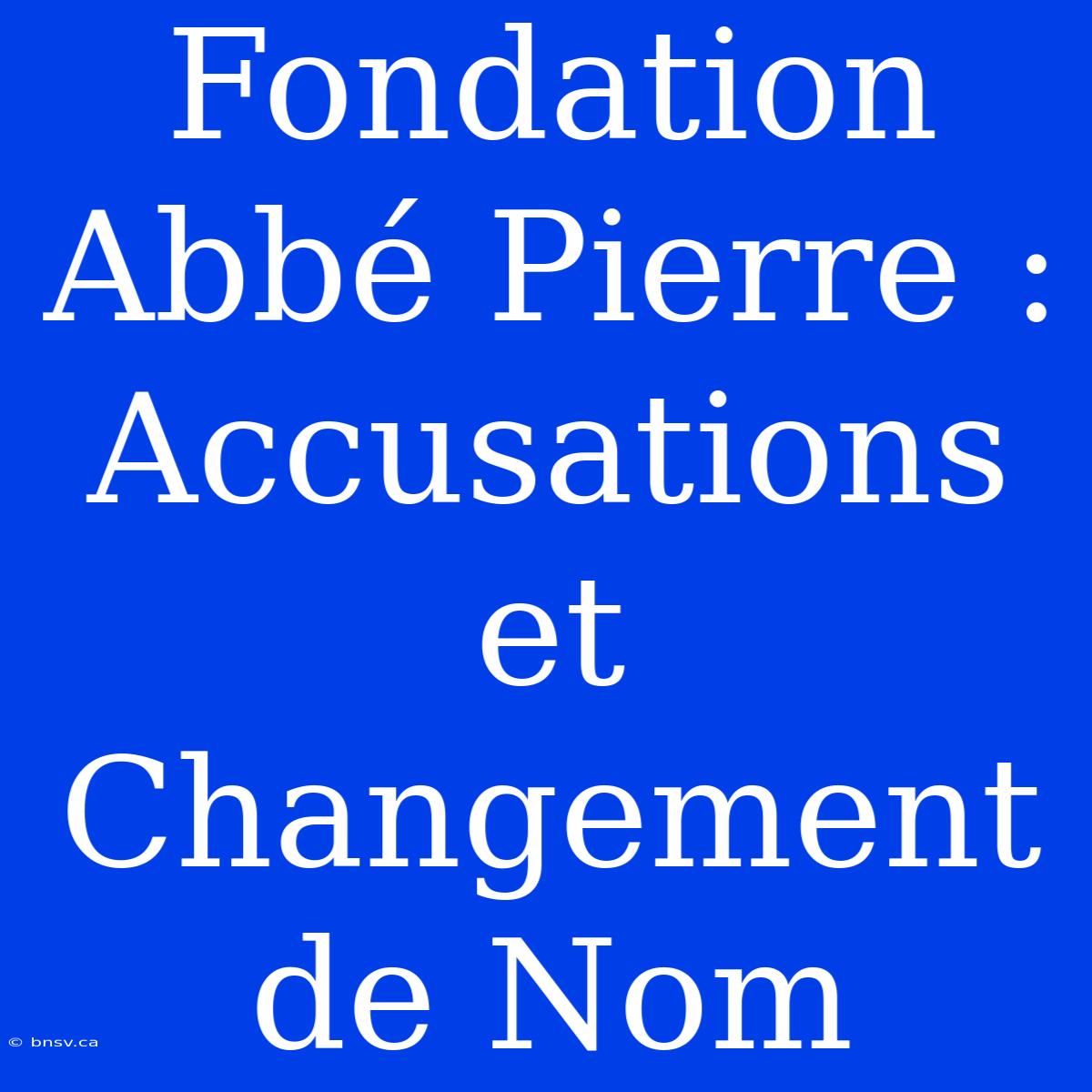 Fondation Abbé Pierre : Accusations Et Changement De Nom