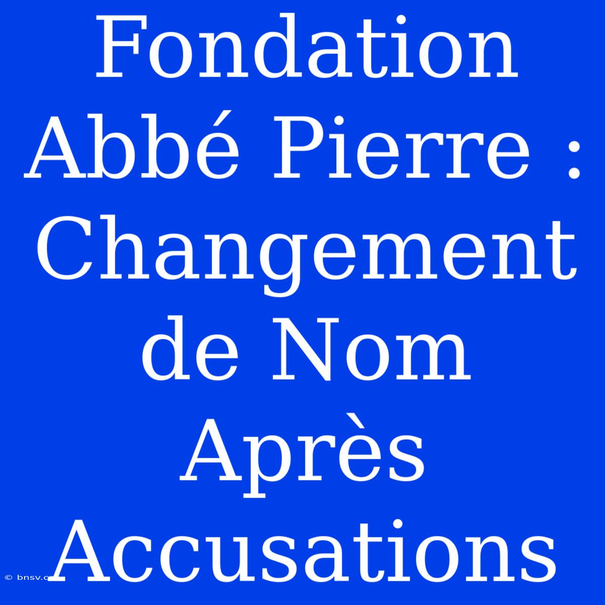 Fondation Abbé Pierre : Changement De Nom Après Accusations