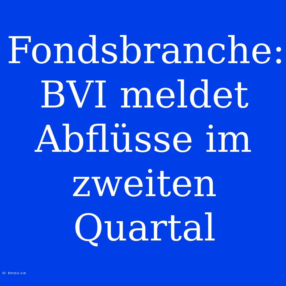 Fondsbranche: BVI Meldet Abflüsse Im Zweiten Quartal