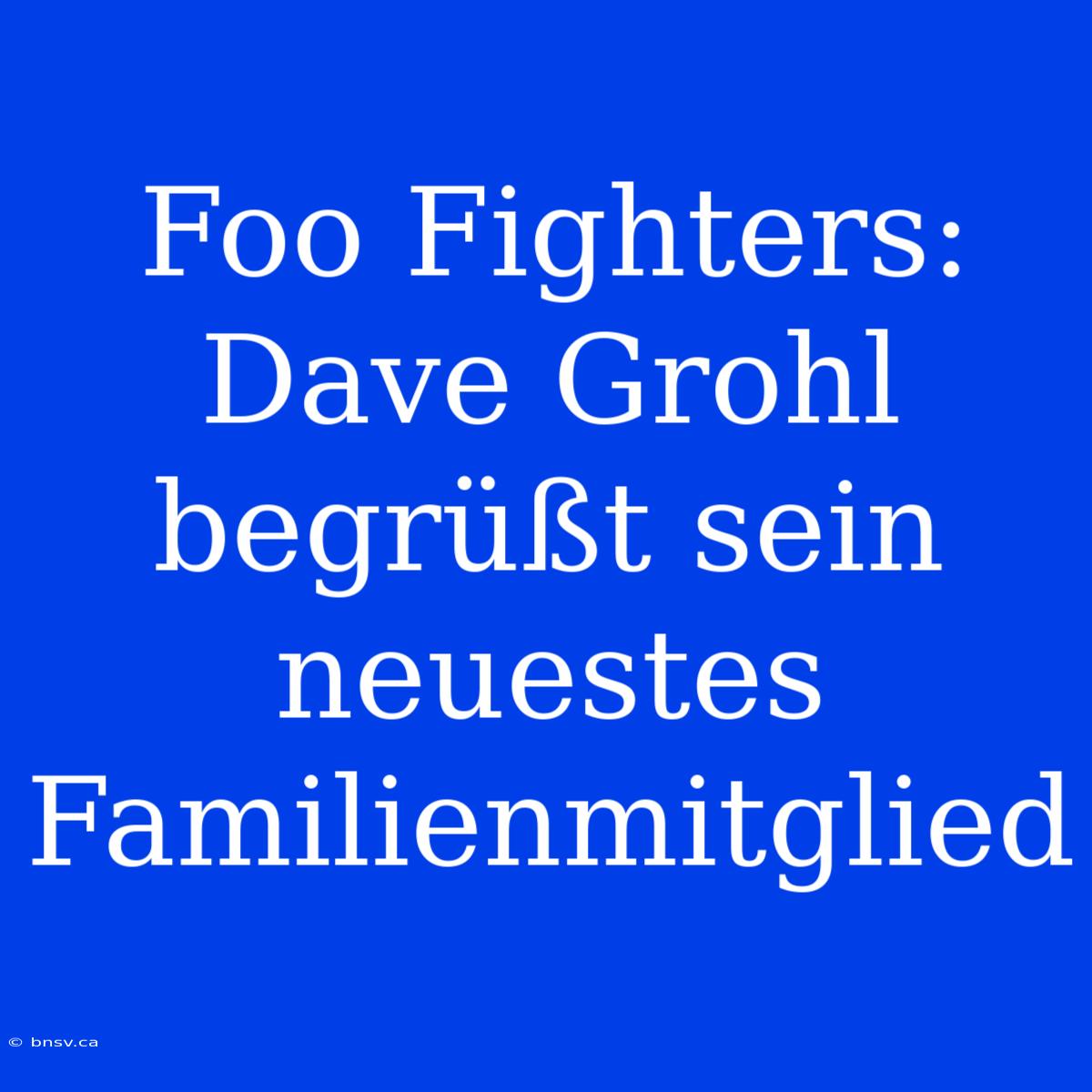 Foo Fighters: Dave Grohl Begrüßt Sein Neuestes Familienmitglied