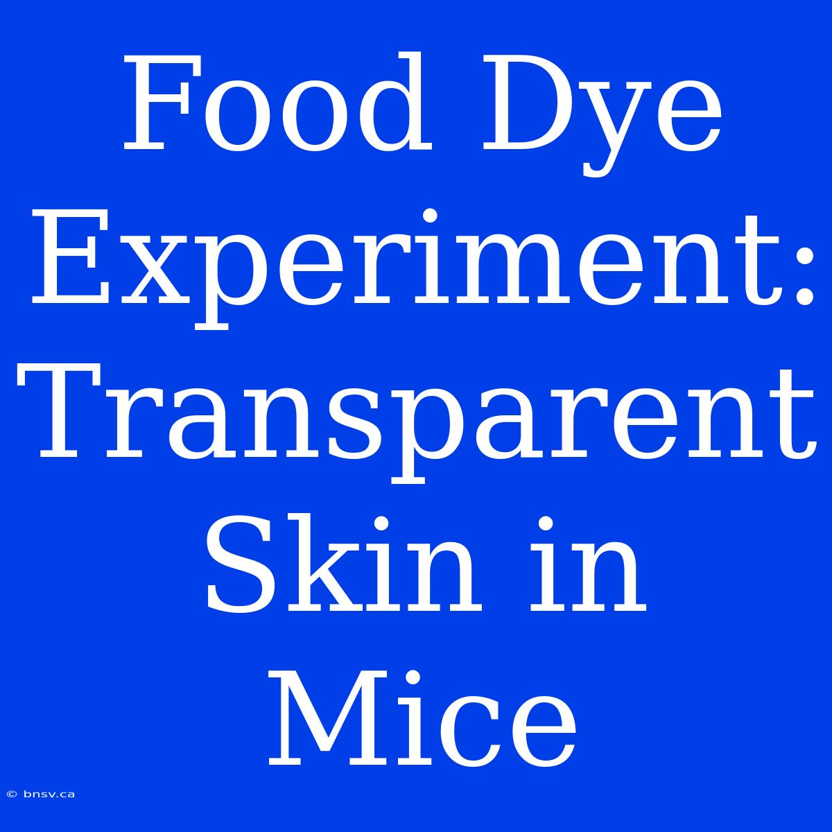 Food Dye Experiment: Transparent Skin In Mice