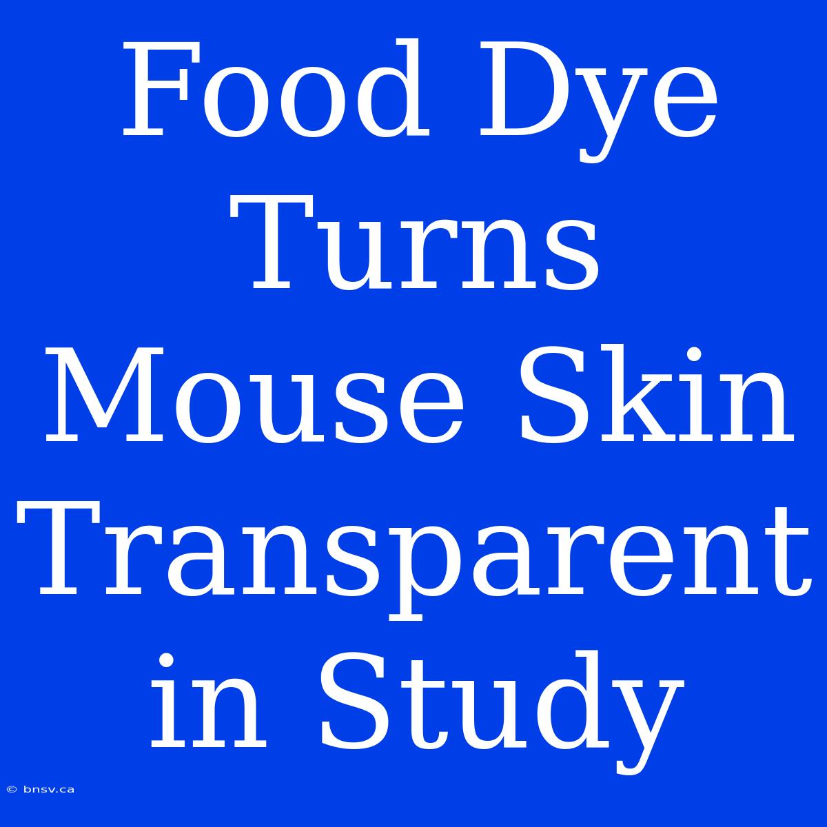 Food Dye Turns Mouse Skin Transparent In Study