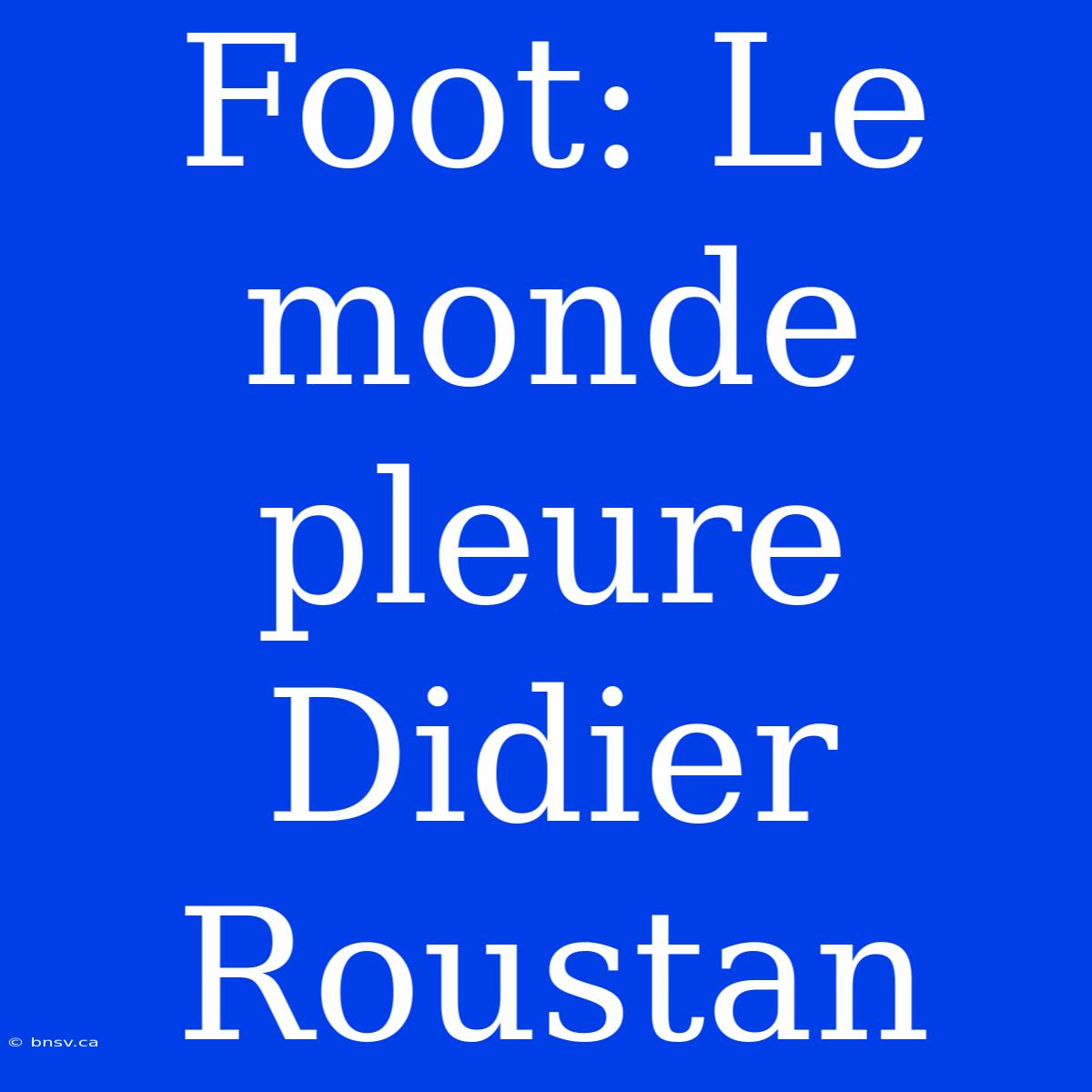 Foot: Le Monde Pleure Didier Roustan