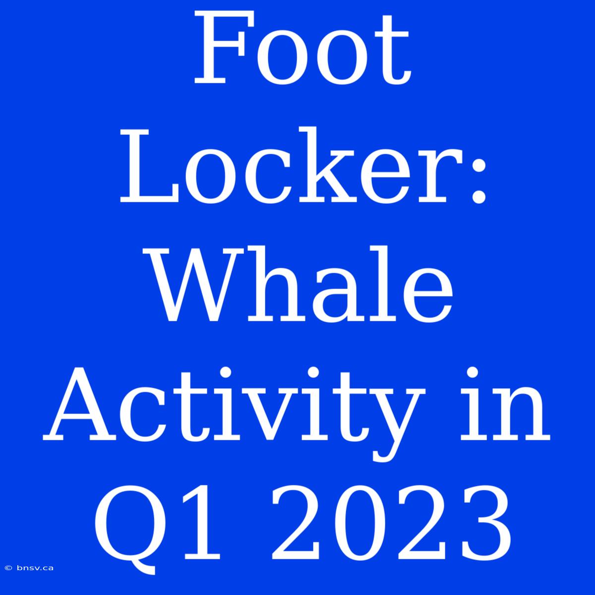 Foot Locker: Whale Activity In Q1 2023