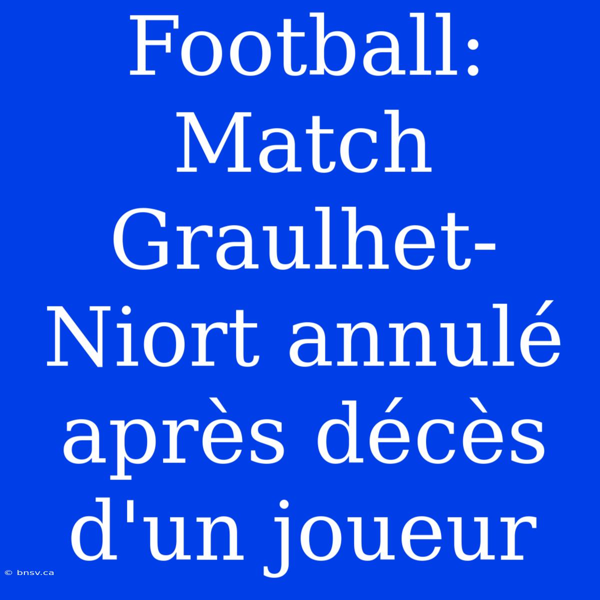 Football: Match Graulhet-Niort Annulé Après Décès D'un Joueur