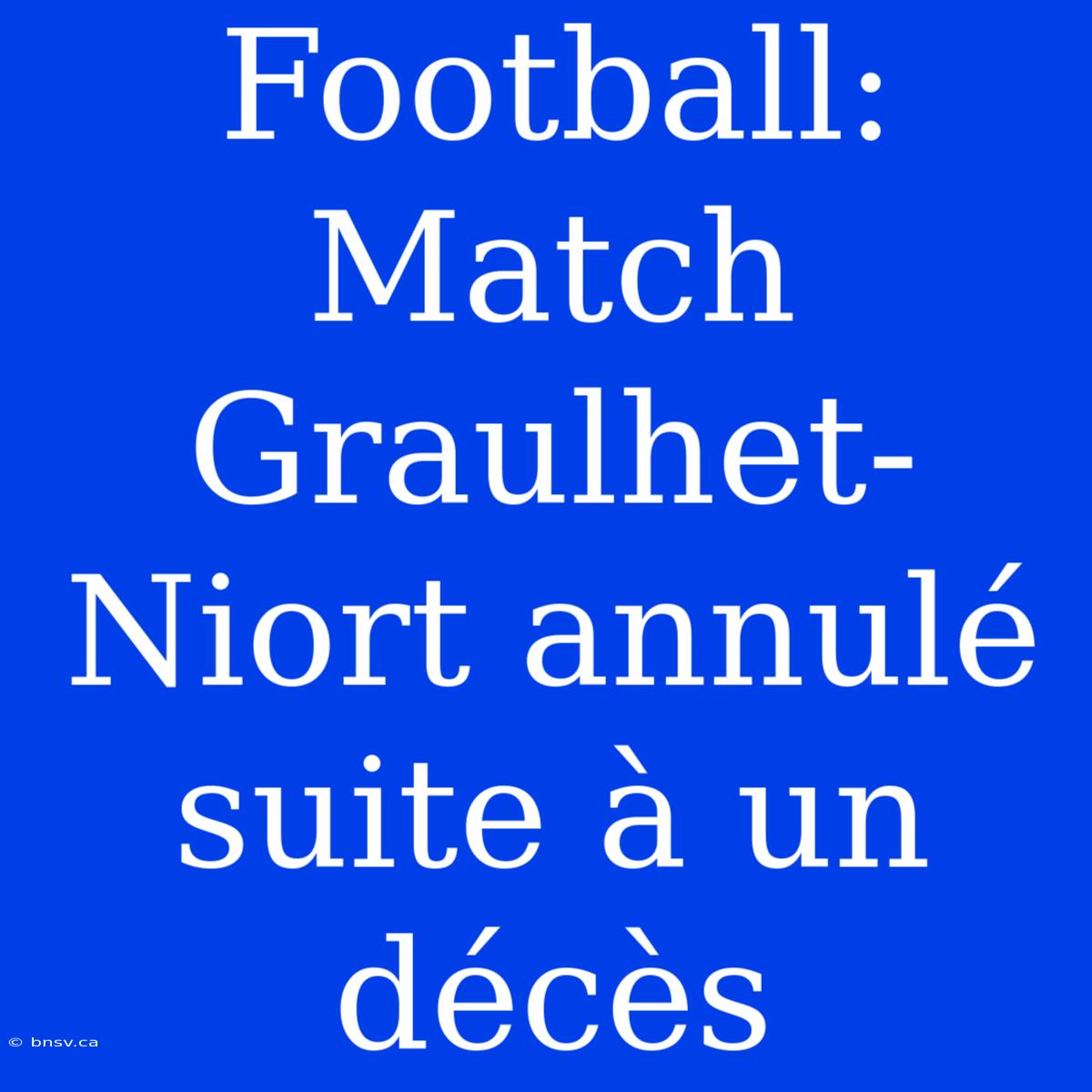 Football: Match Graulhet-Niort Annulé Suite À Un Décès