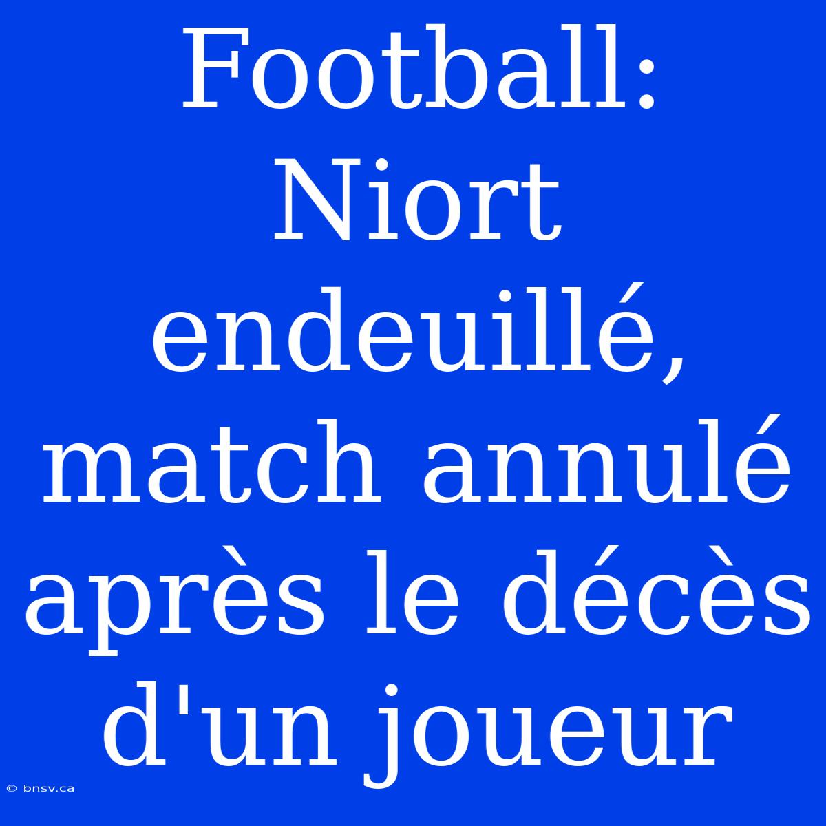 Football: Niort Endeuillé, Match Annulé Après Le Décès D'un Joueur