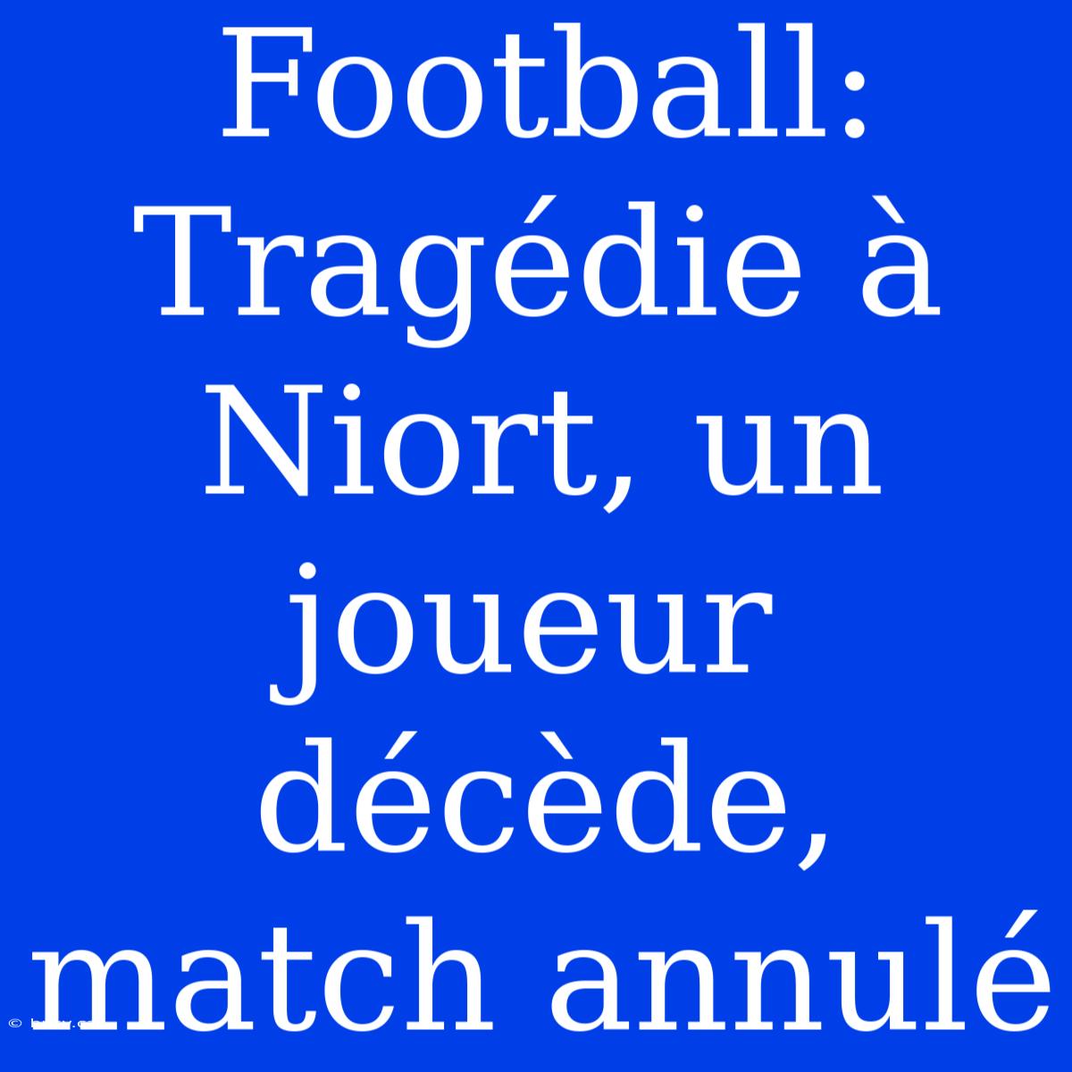 Football: Tragédie À Niort, Un Joueur Décède, Match Annulé