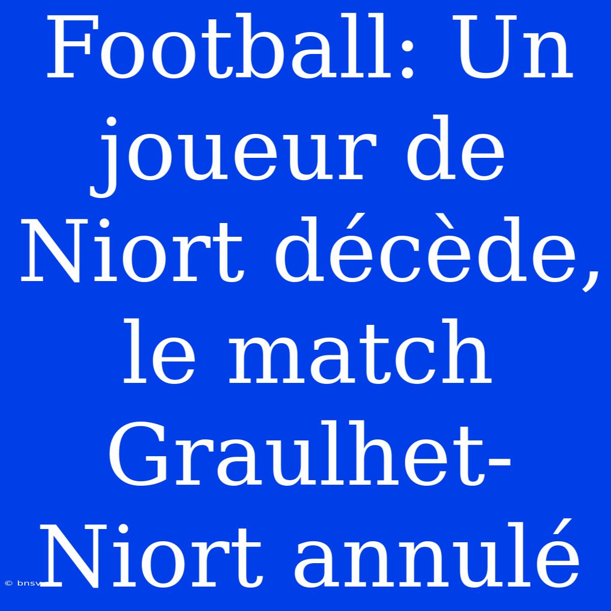 Football: Un Joueur De Niort Décède, Le Match Graulhet-Niort Annulé