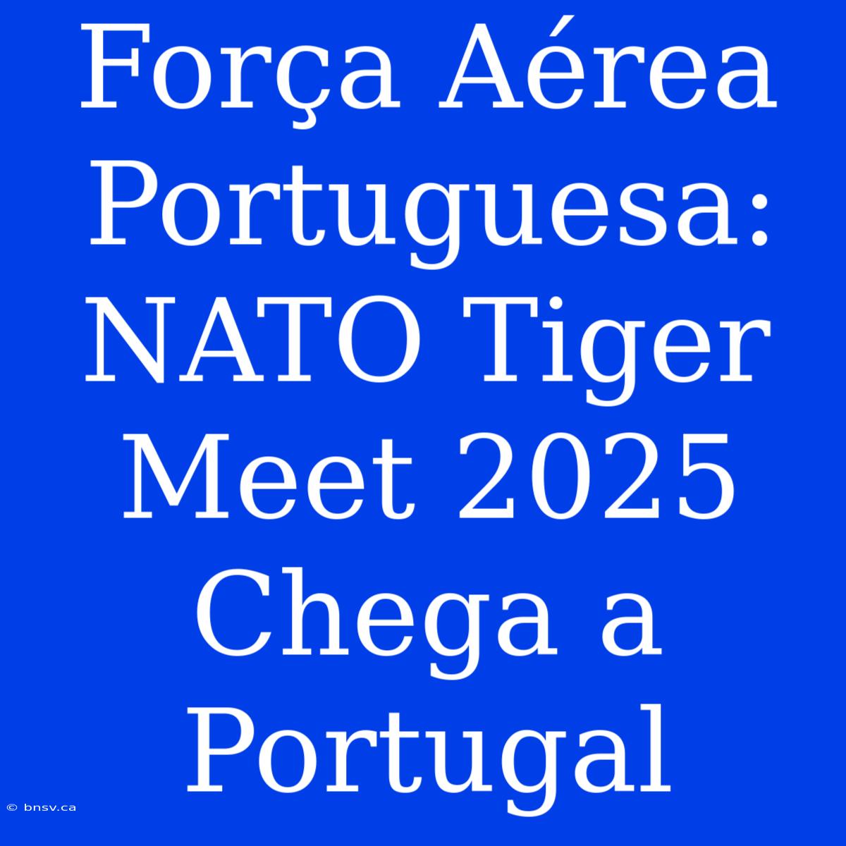 Força Aérea Portuguesa: NATO Tiger Meet 2025 Chega A Portugal