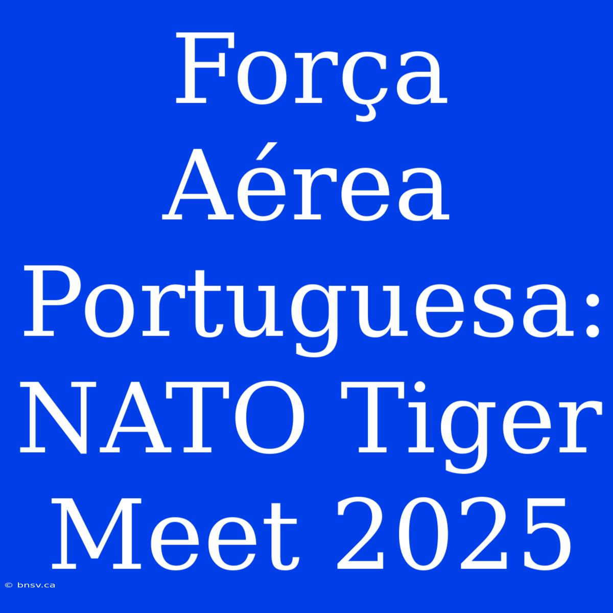 Força Aérea Portuguesa: NATO Tiger Meet 2025