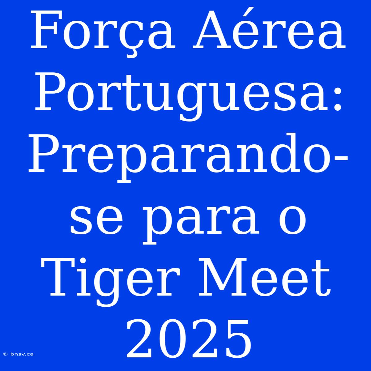 Força Aérea Portuguesa: Preparando-se Para O Tiger Meet 2025