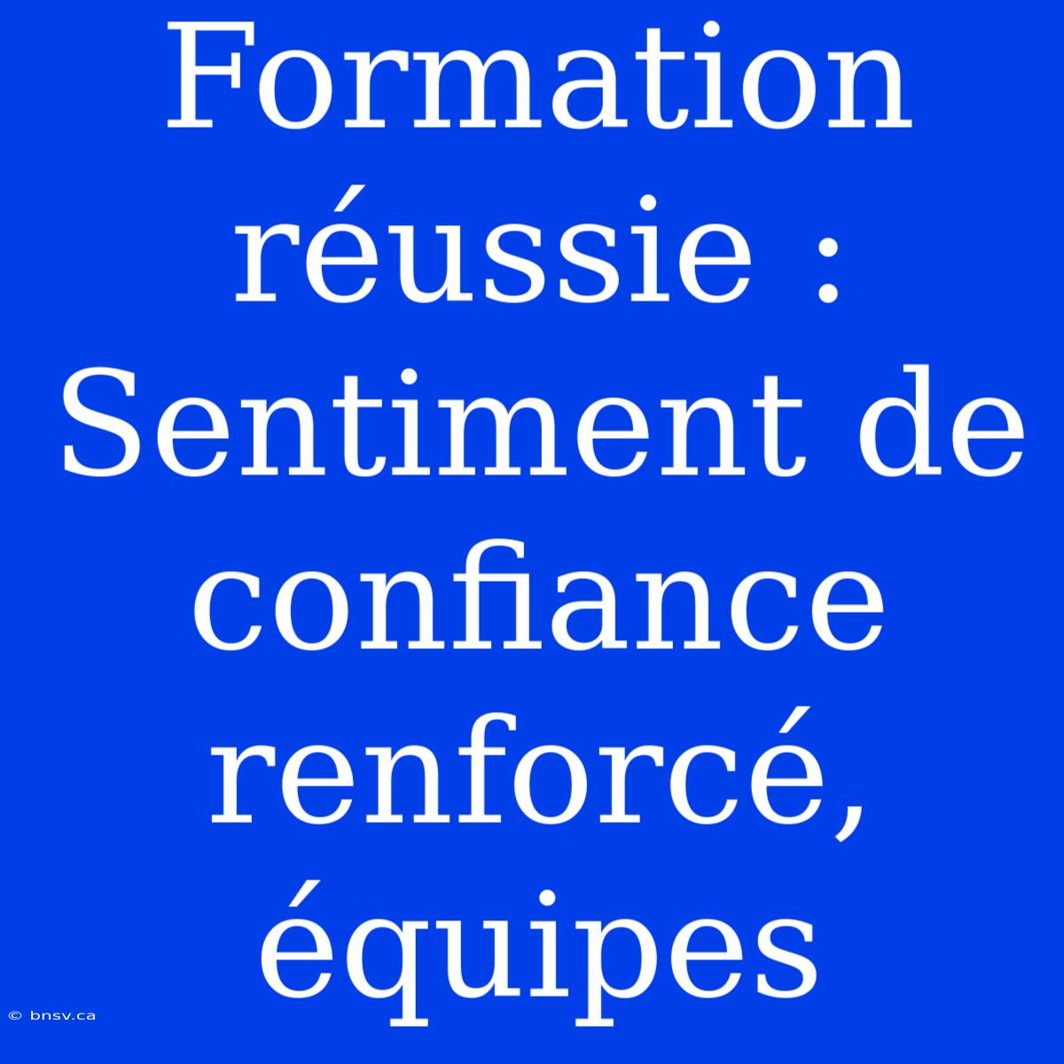 Formation Réussie : Sentiment De Confiance Renforcé, Équipes