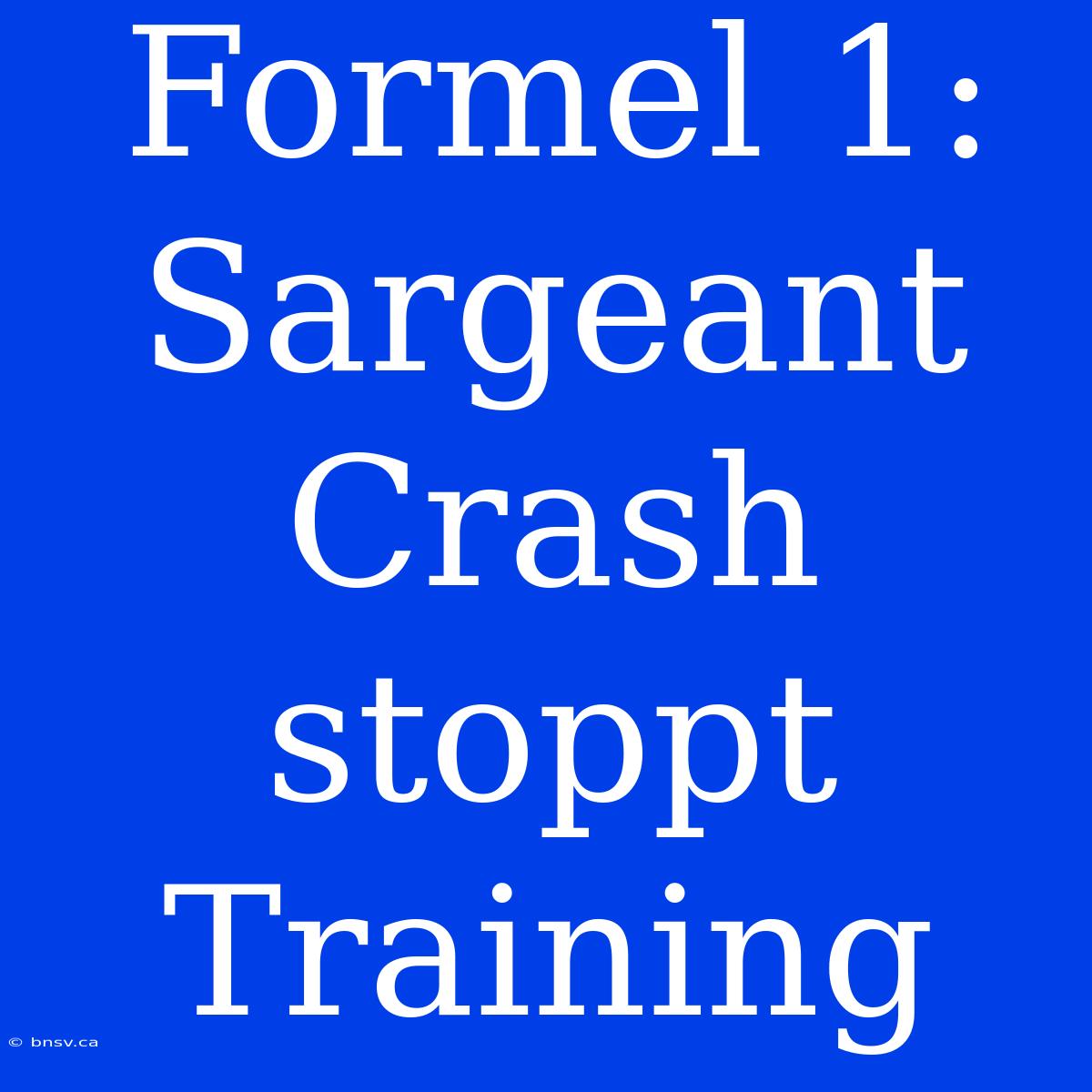 Formel 1: Sargeant Crash Stoppt Training