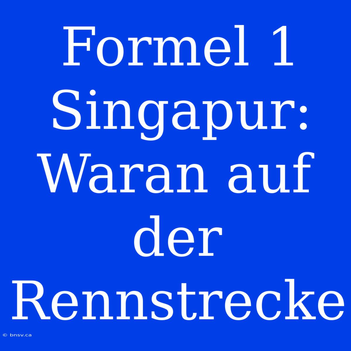 Formel 1 Singapur: Waran Auf Der Rennstrecke