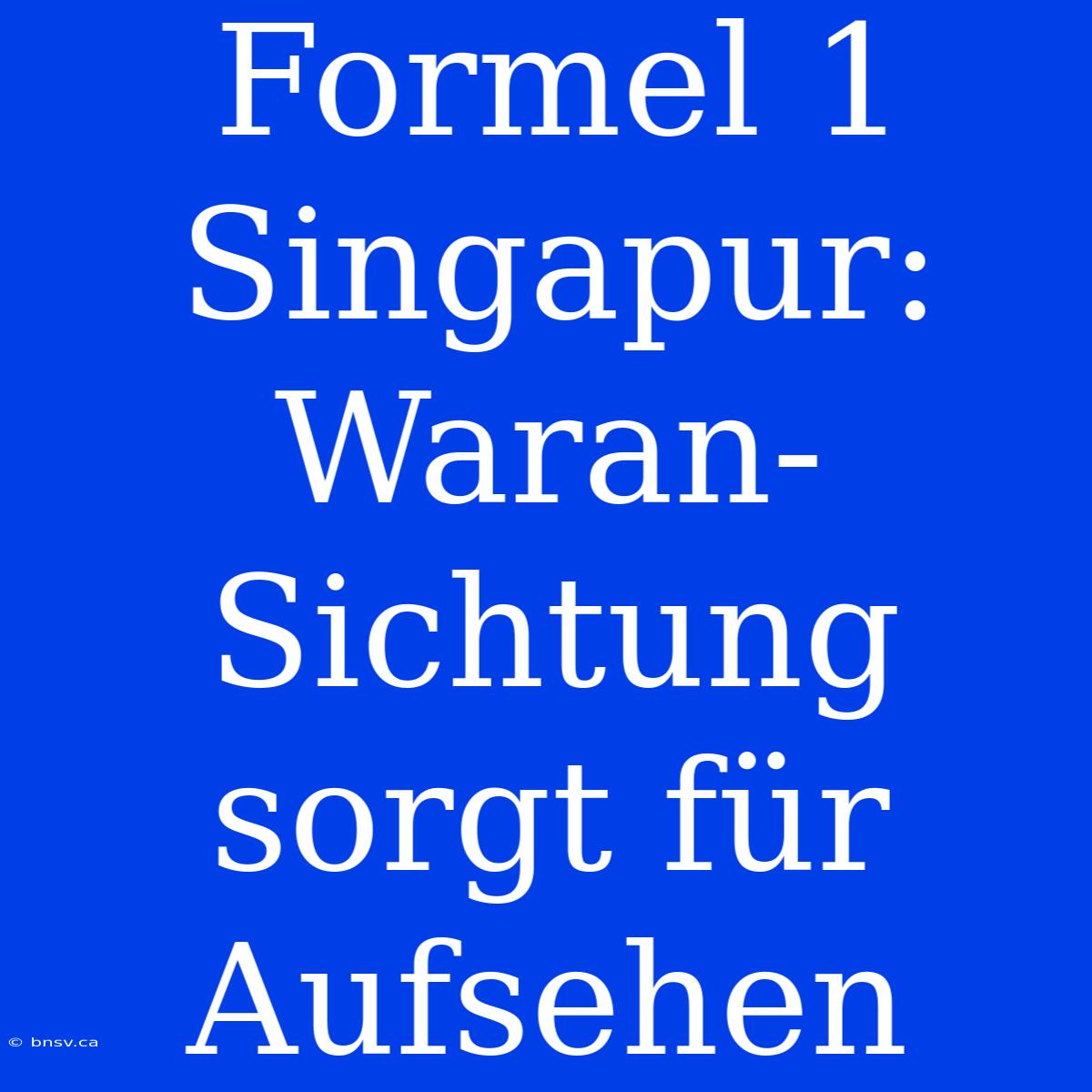 Formel 1 Singapur: Waran-Sichtung Sorgt Für Aufsehen