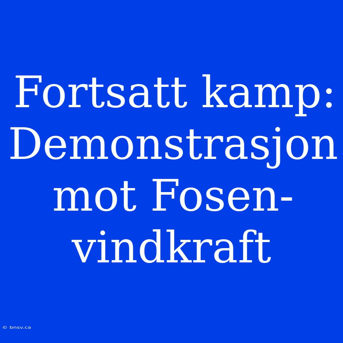 Fortsatt Kamp: Demonstrasjon Mot Fosen-vindkraft