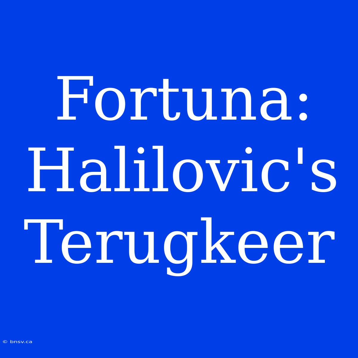 Fortuna: Halilovic's Terugkeer