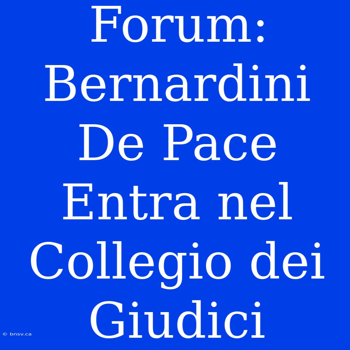 Forum: Bernardini De Pace Entra Nel Collegio Dei Giudici