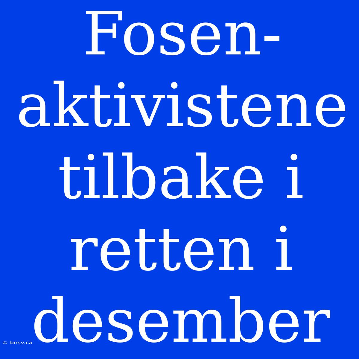 Fosen-aktivistene Tilbake I Retten I Desember