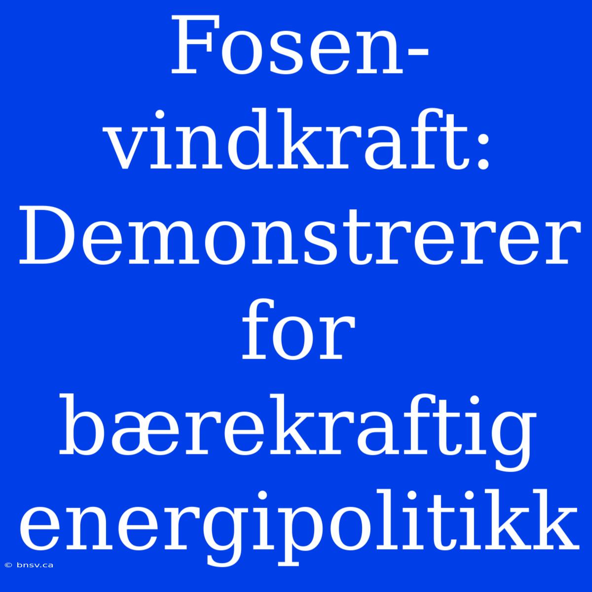 Fosen-vindkraft: Demonstrerer For Bærekraftig Energipolitikk