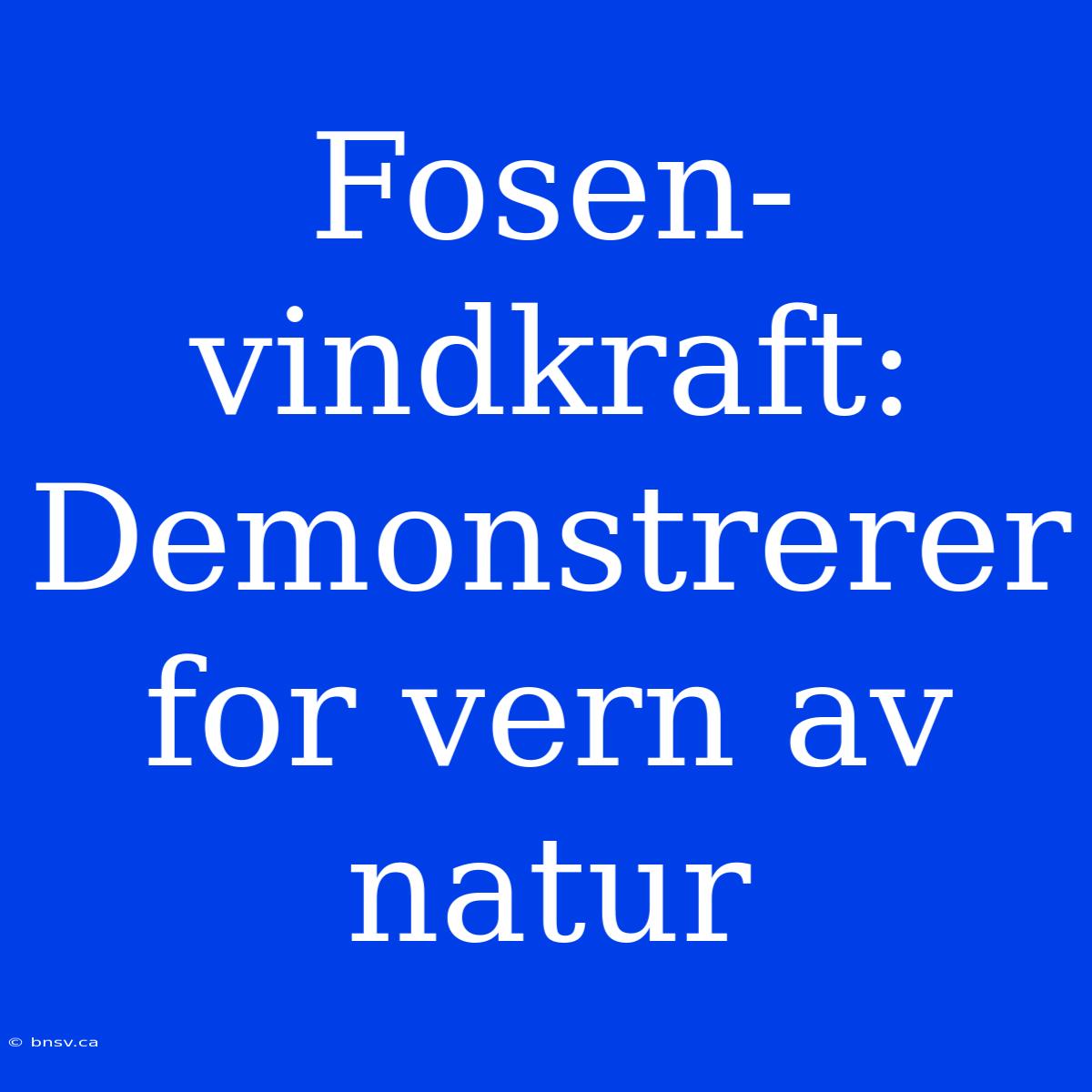 Fosen-vindkraft: Demonstrerer For Vern Av Natur