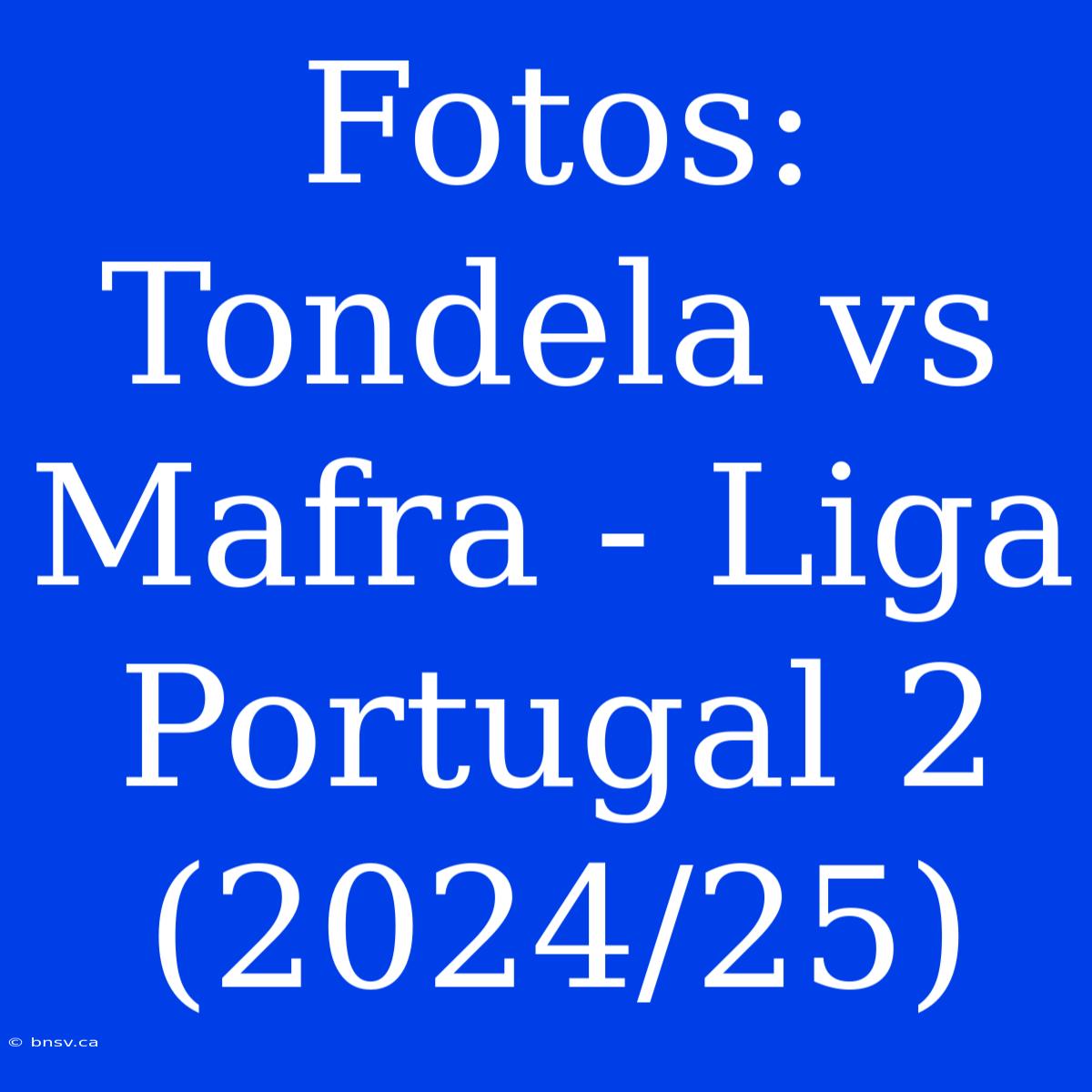 Fotos: Tondela Vs Mafra - Liga Portugal 2 (2024/25)