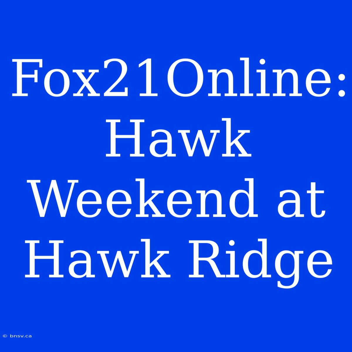 Fox21Online: Hawk Weekend At Hawk Ridge