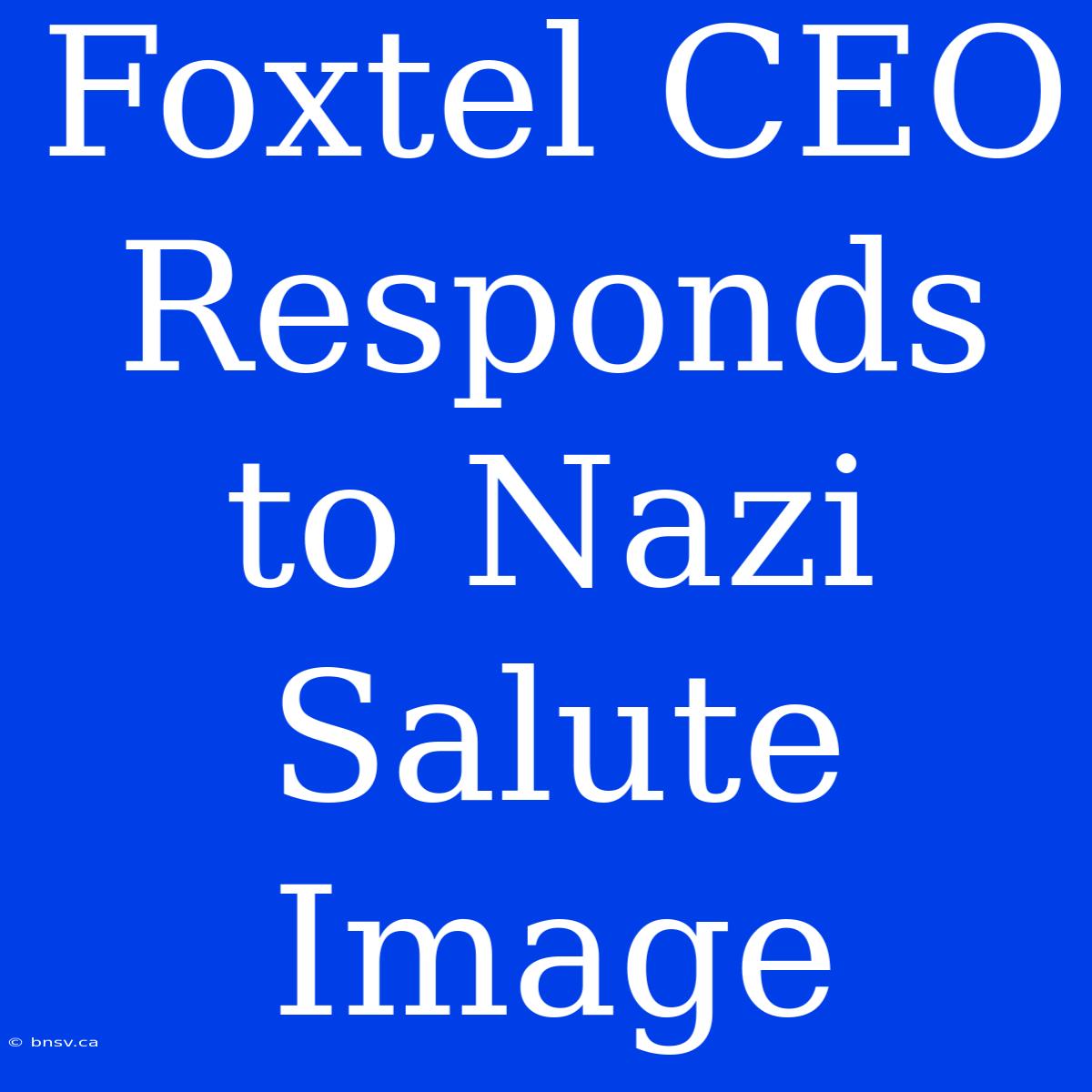 Foxtel CEO Responds To Nazi Salute Image