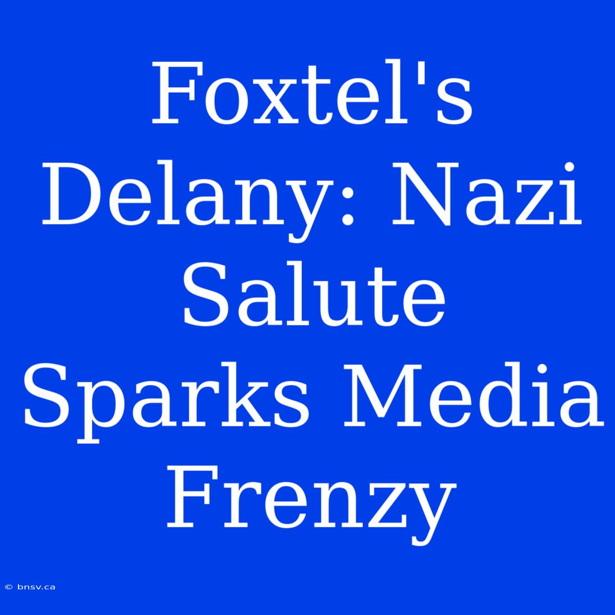 Foxtel's Delany: Nazi Salute Sparks Media Frenzy