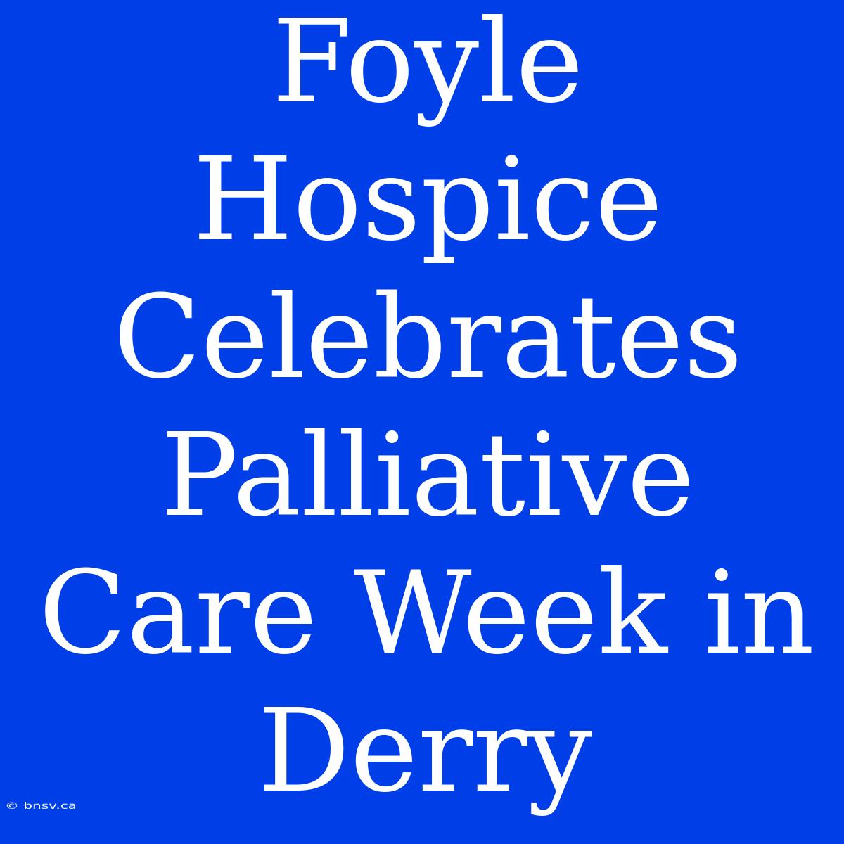 Foyle Hospice Celebrates Palliative Care Week In Derry