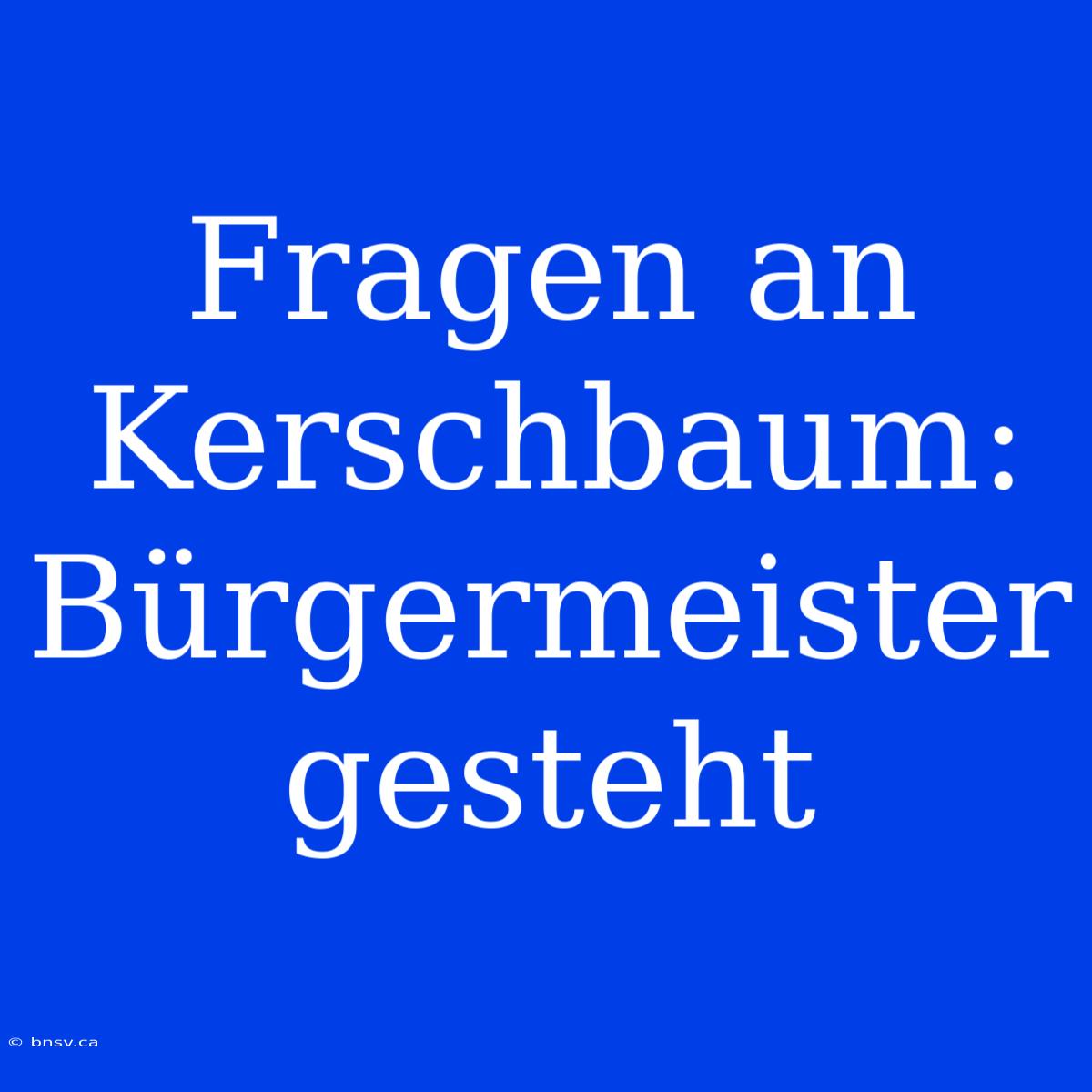 Fragen An Kerschbaum: Bürgermeister Gesteht