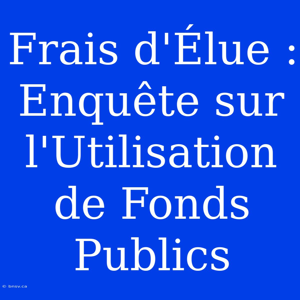 Frais D'Élue : Enquête Sur L'Utilisation De Fonds Publics