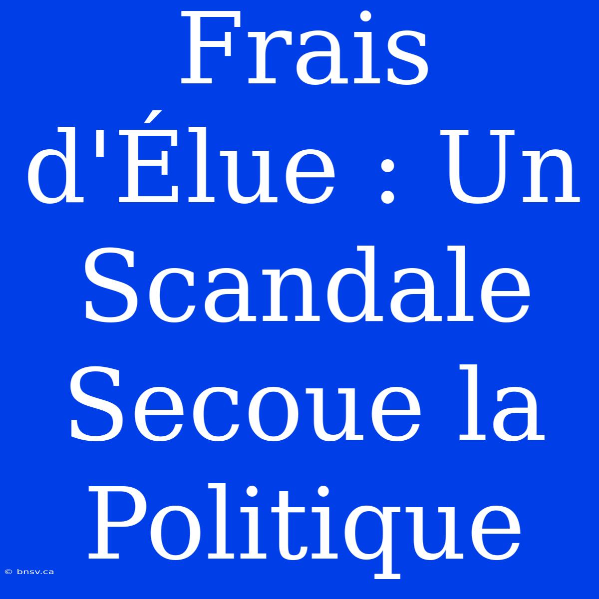 Frais D'Élue : Un Scandale Secoue La Politique